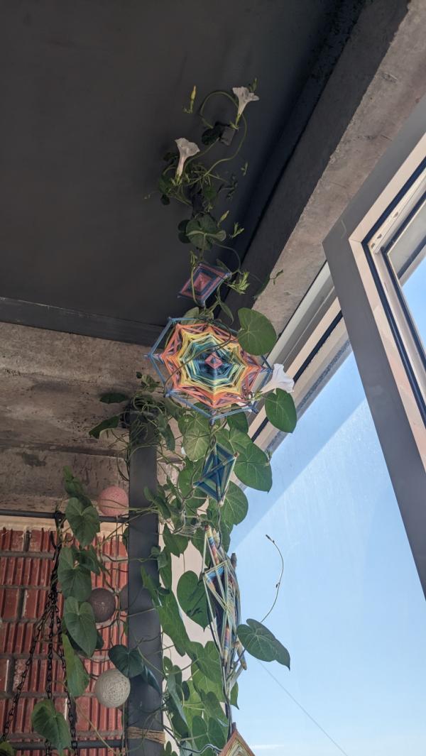 post image 4