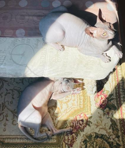post image