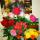kate_2102fe