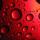 evgesha_sam