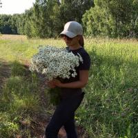 Любовь 