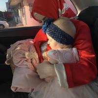 Safi_fari_1214