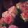 marika_mast