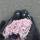 abd.dju