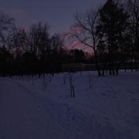 Вероника