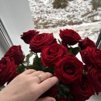 🦋🌸Elya🌸🦋