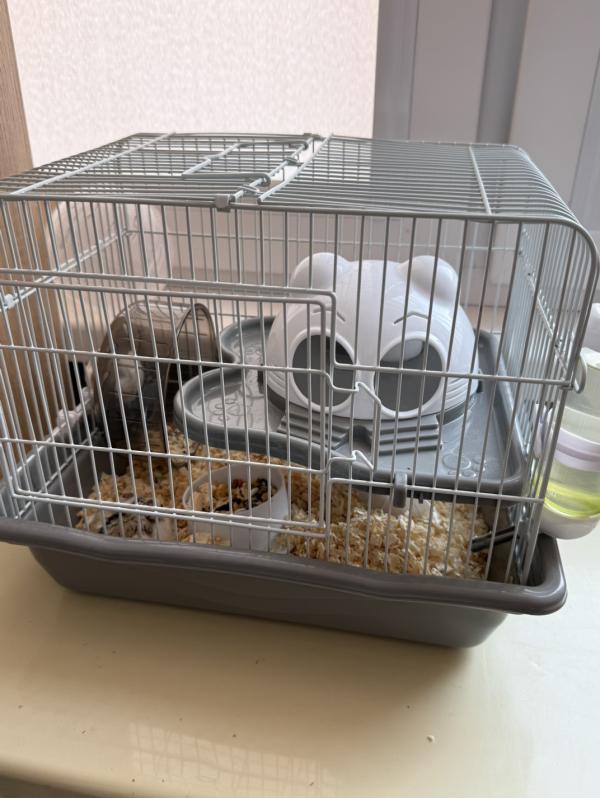 post image 1