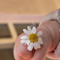 🌿🌼🌼🌼🍃