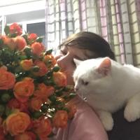 Юлия С.