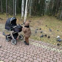 сарият