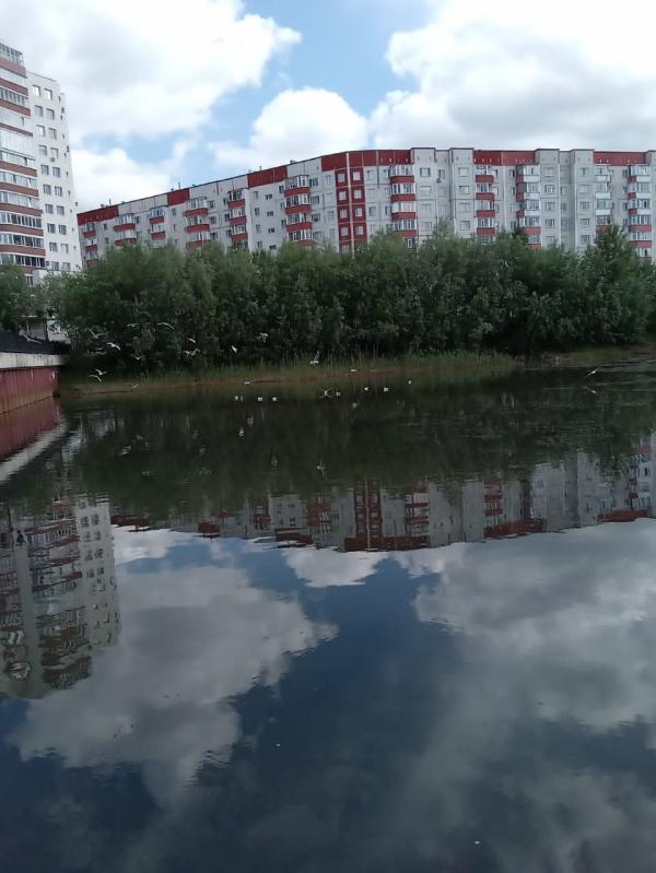 post image