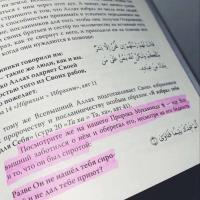 Safina
