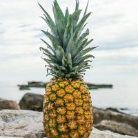 Марина