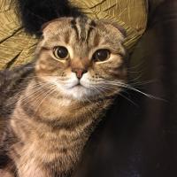 Ильнара 