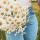 lolly_holly