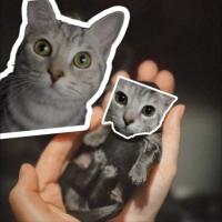 Яна