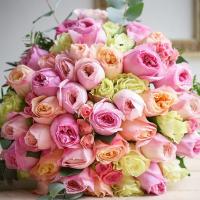 🌹🌹🌹