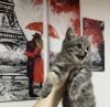 стикер