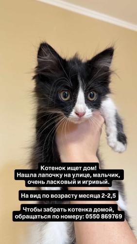 post image