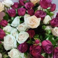name_
