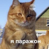 LSN