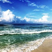 Мария Игрушкина