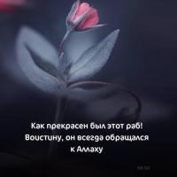 Амина