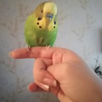 Ольга