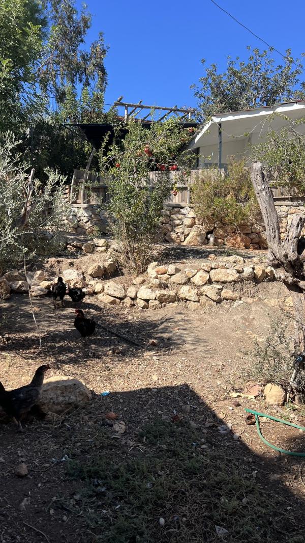 post image 5