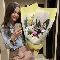 vlada