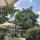 sumay09092000
