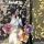 salya_