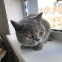 Айгуля 