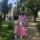 galya_15_07_2019