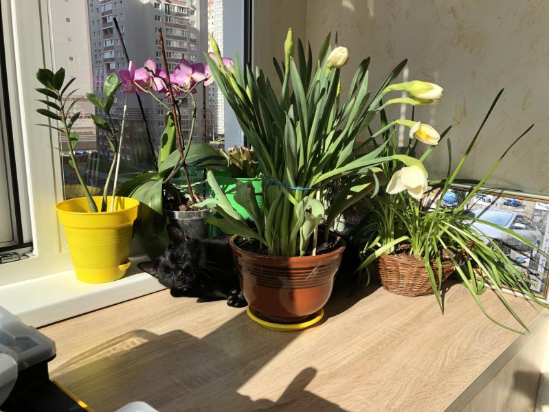 post image 4