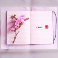 Seda