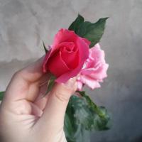 настя 