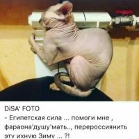 Мария