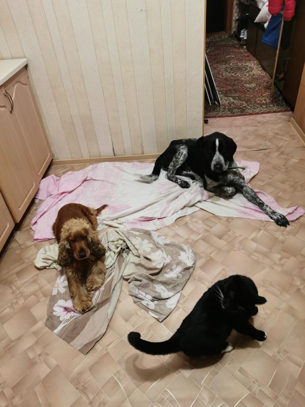 post image 4