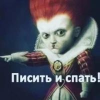 Дарья 