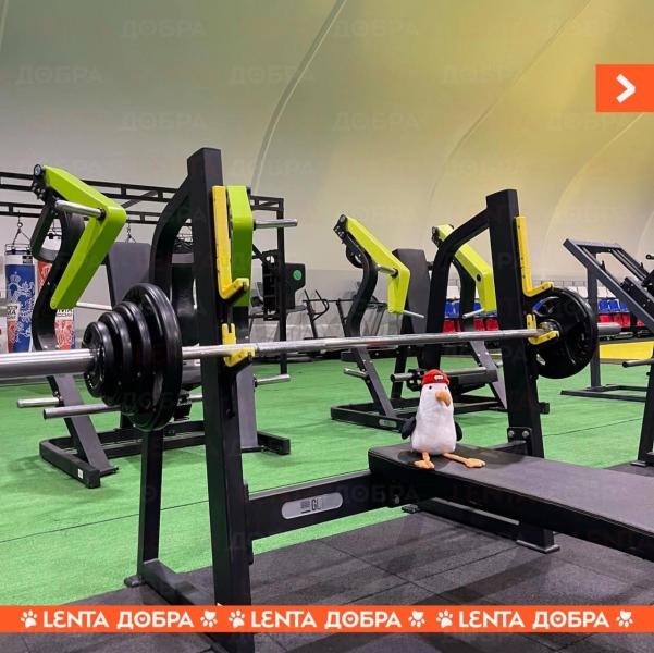 post image 5