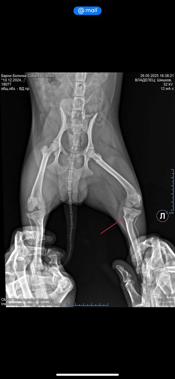 post image