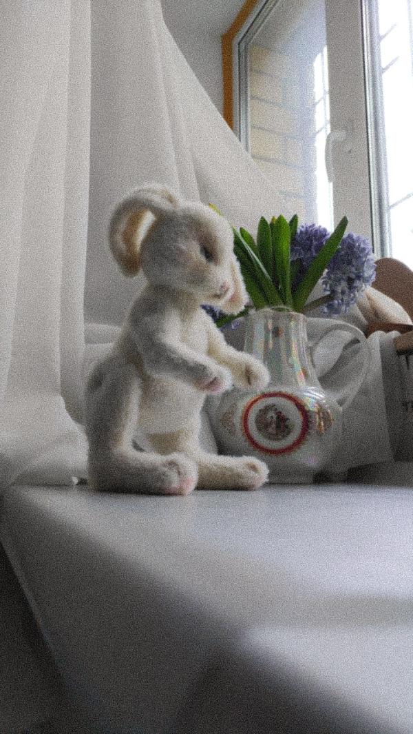 post image 4