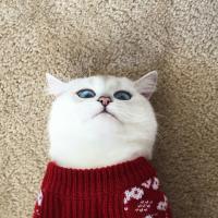 Дарья