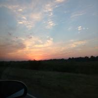 Синицына Света