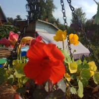 Дарья Уткина