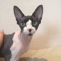 Иванова Дарья 