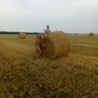 Лилия