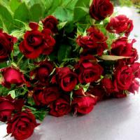 ummi89
