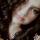 smirnova159301